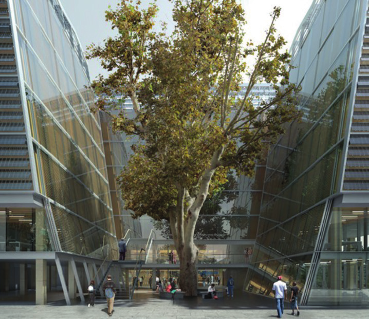 L'arbre au centre du batiment